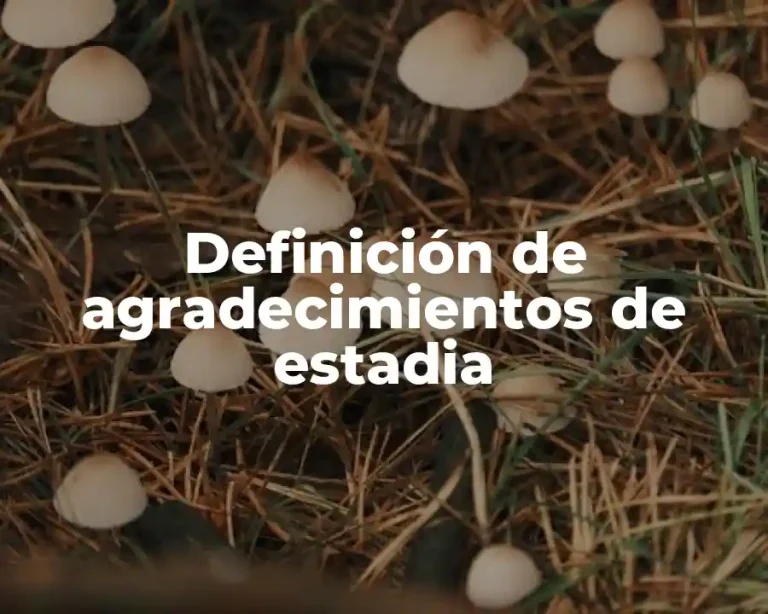 Definición de agradecimientos de estadia