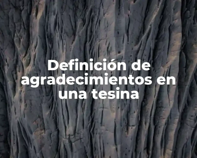 Definición de agradecimientos en una tesina