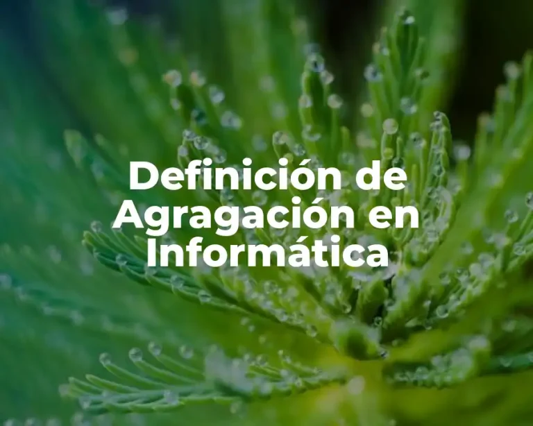 Definición de Agragación en Informática
