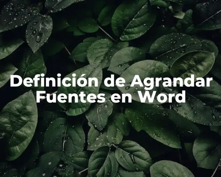 Definición de Agrandar Fuentes en Word