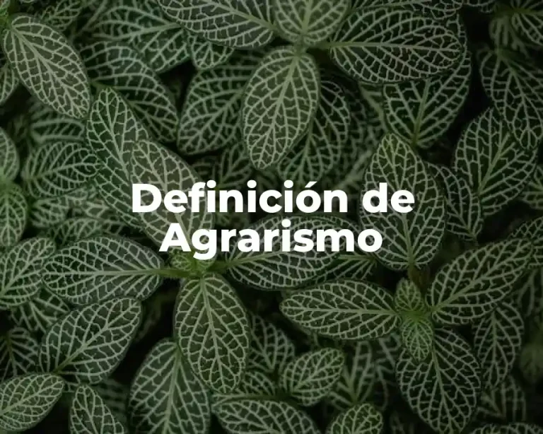 Definición de Agrarismo
