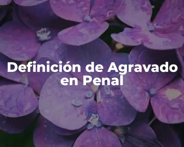 Definición de Agravado en Penal