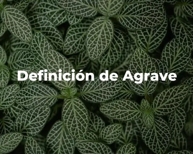 Definición de Agrave