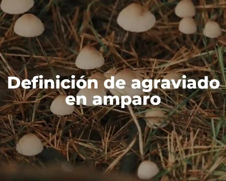 Definición de agraviado en amparo