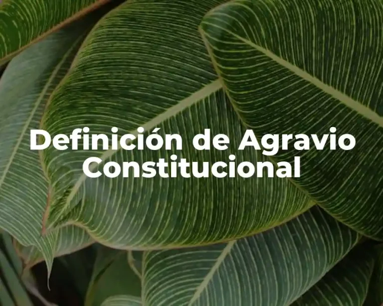 Definición de Agravio Constitucional