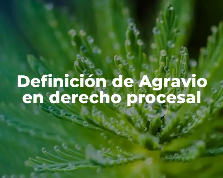 Definición de Agravio en derecho procesal