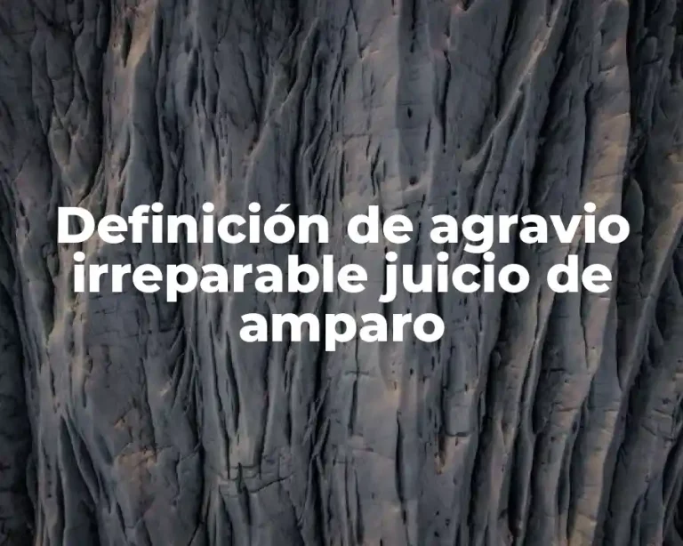 Definición de agravio irreparable juicio de amparo
