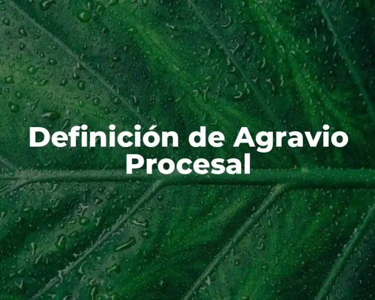 Definición de Agravio Procesal