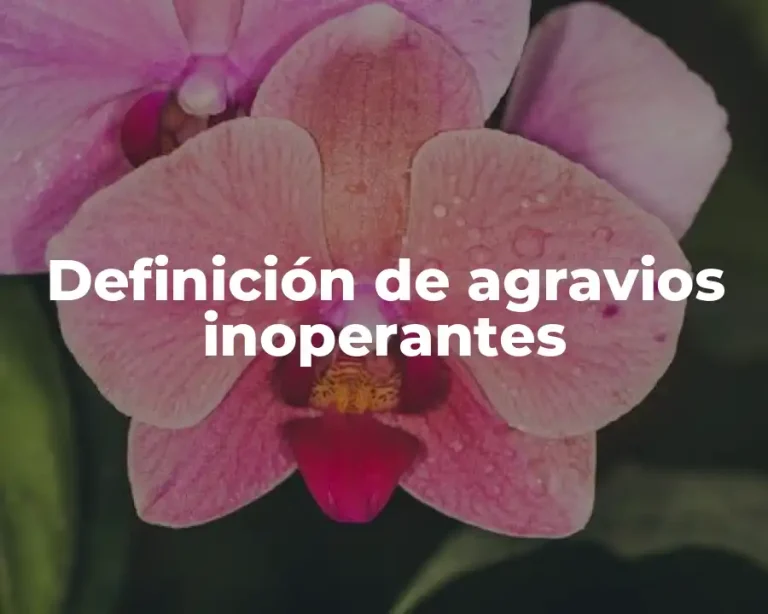 Definición de agravios inoperantes