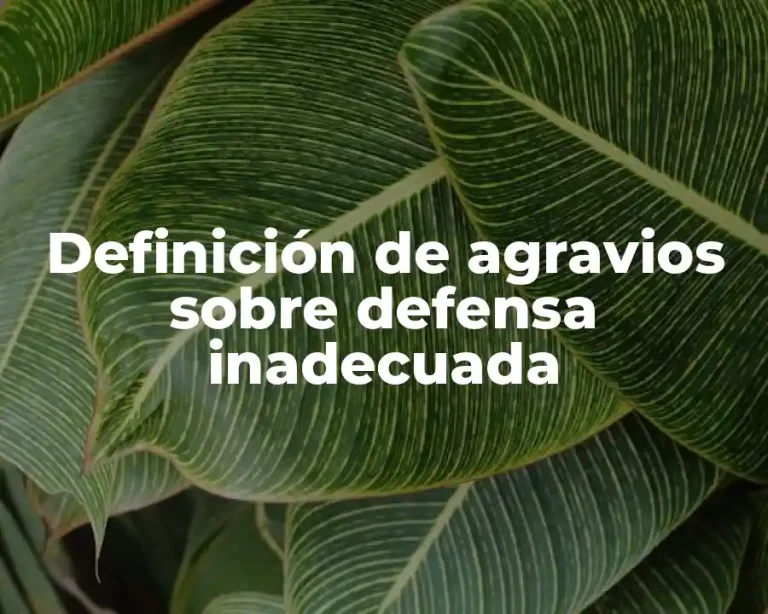 Definición de agravios sobre defensa inadecuada