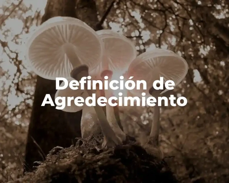 Definición de Agredecimiento