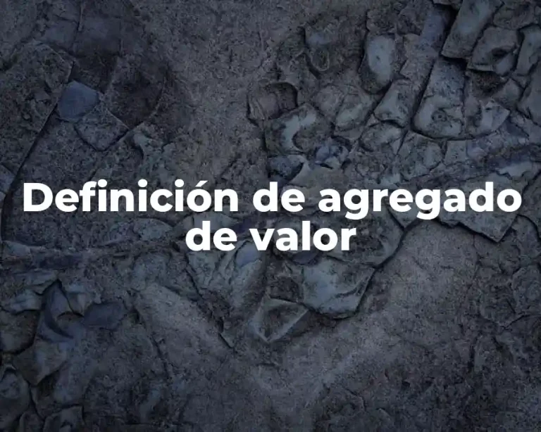 Definición de agregado de valor