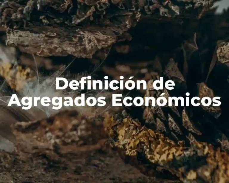Definición de Agregados Económicos
