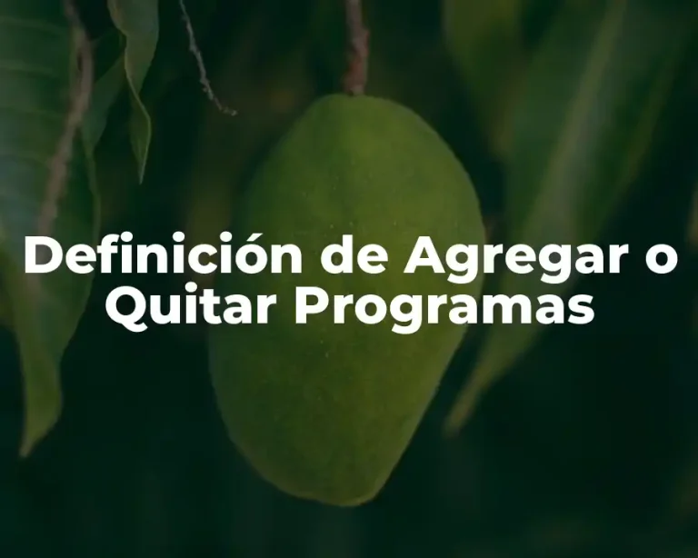 Definición de Agregar o Quitar Programas