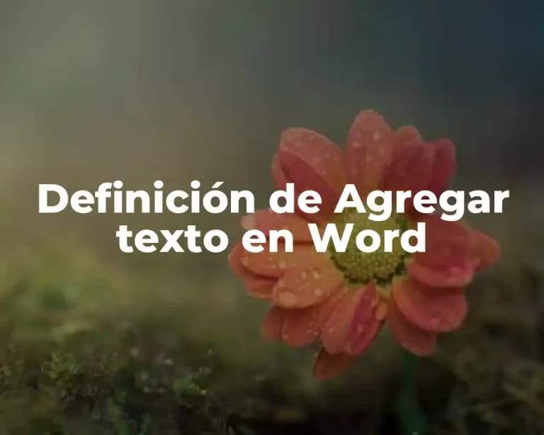 Definición de Agregar texto en Word