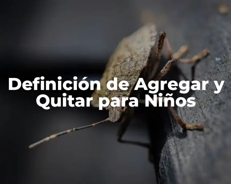 Definición de Agregar y Quitar para Niños