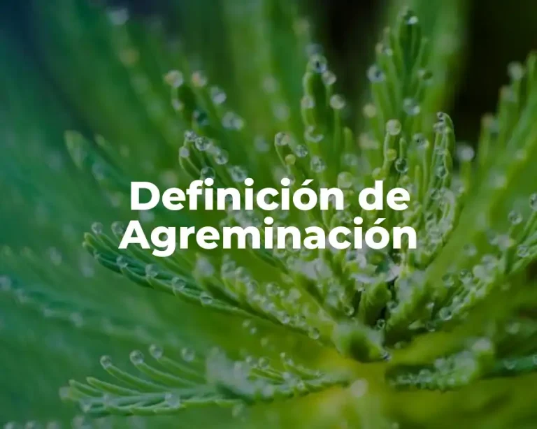 Definición de Agreminación