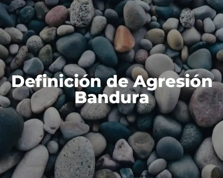 Definición de Agresión Bandura