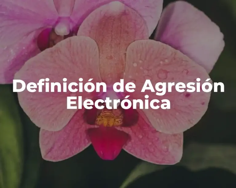 Definición de Agresión Electrónica