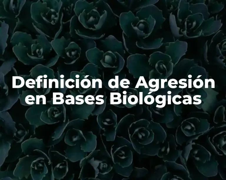 Definición de Agresión en Bases Biológicas