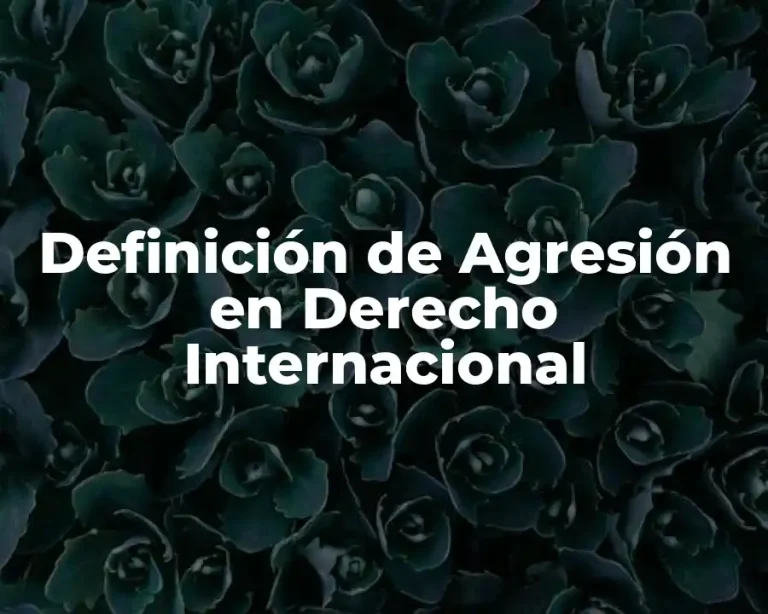 Definición de Agresión en Derecho Internacional