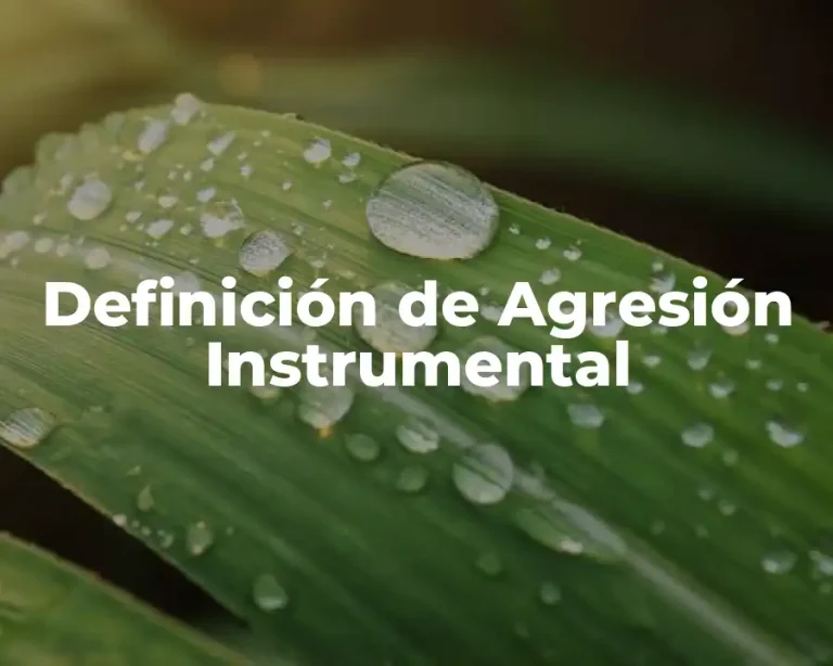 Definición de Agresión Instrumental
