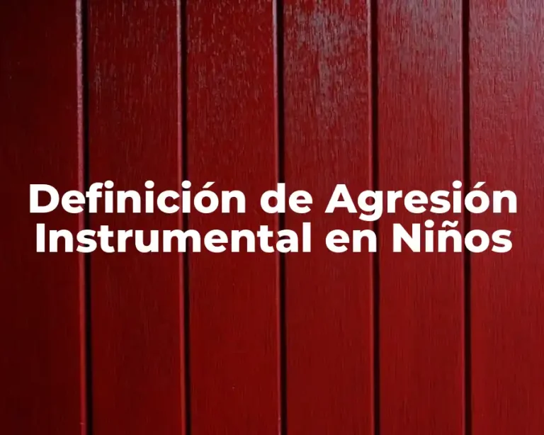 Definición de Agresión Instrumental en Niños