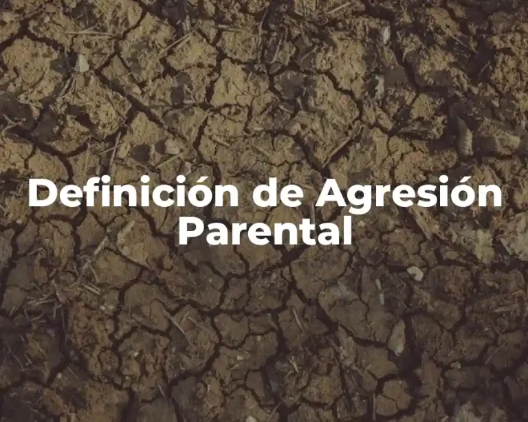 Definición de Agresión Parental