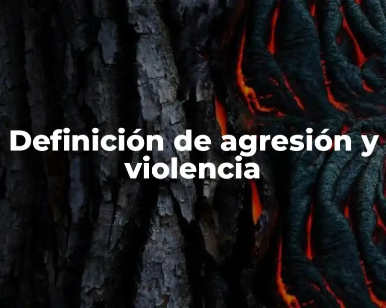 Definición de agresión y violencia