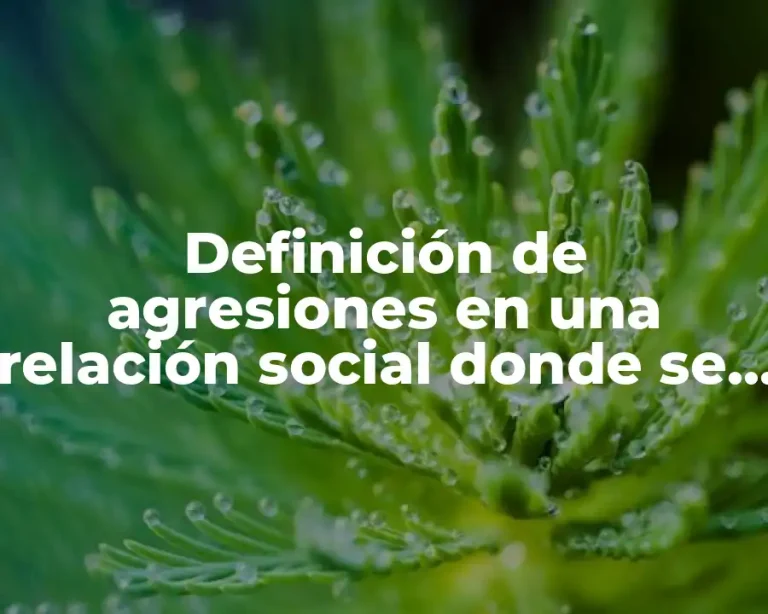 Definición de agresiones en una relación social donde se evidencie la violencia
