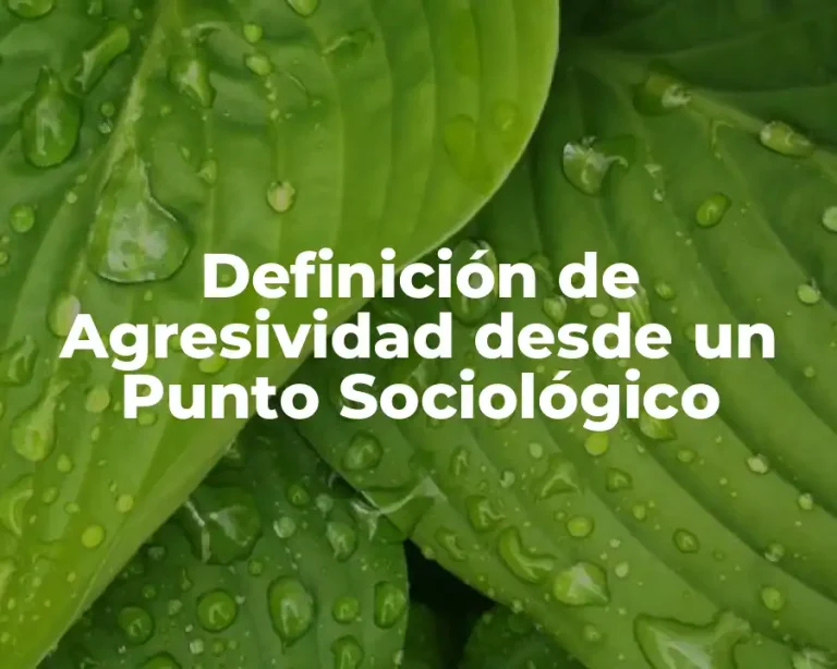 Definición de Agresividad desde un Punto Sociológico