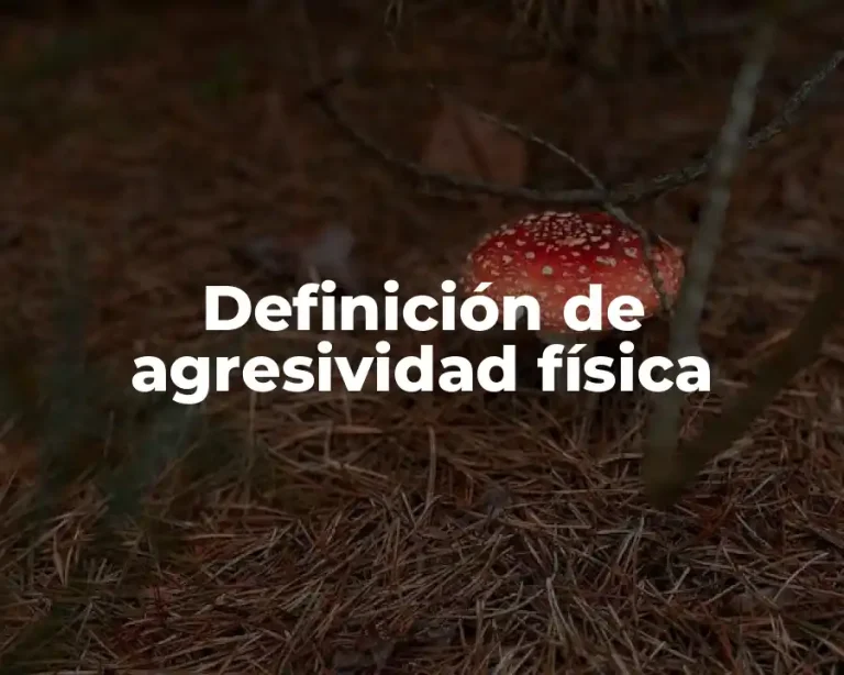 Definición de agresividad física