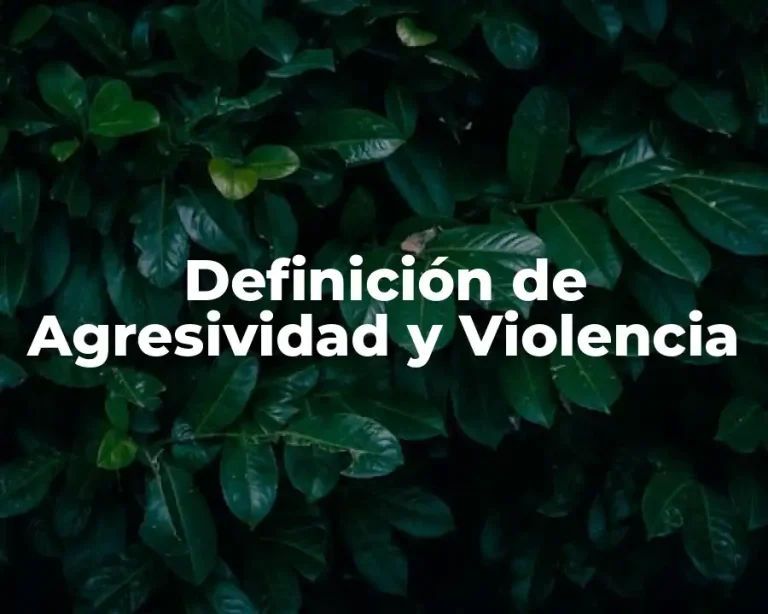 Definición de Agresividad y Violencia