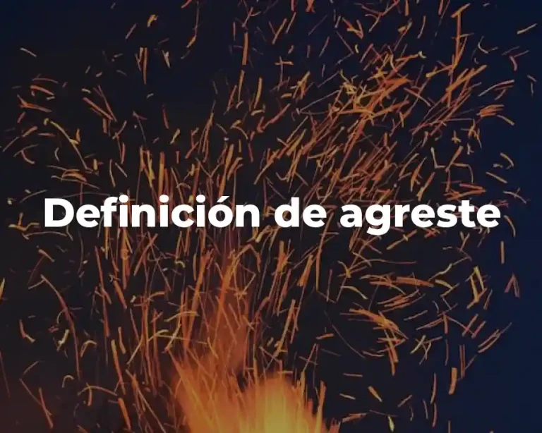 Definición de agreste