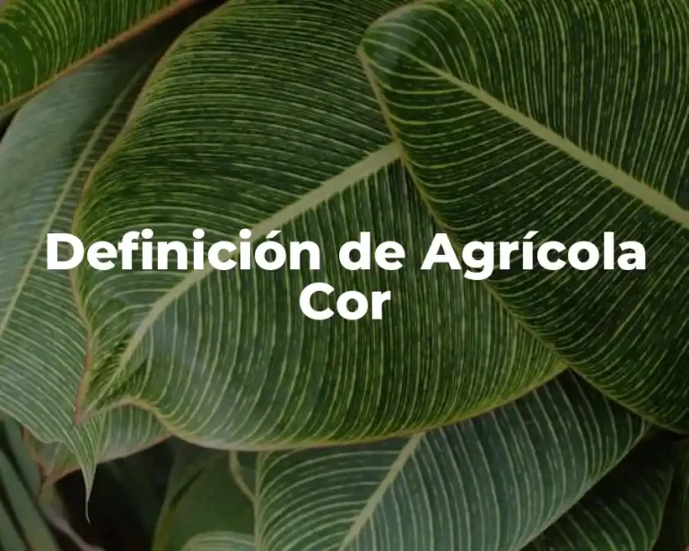 Definición de Agrícola Cor