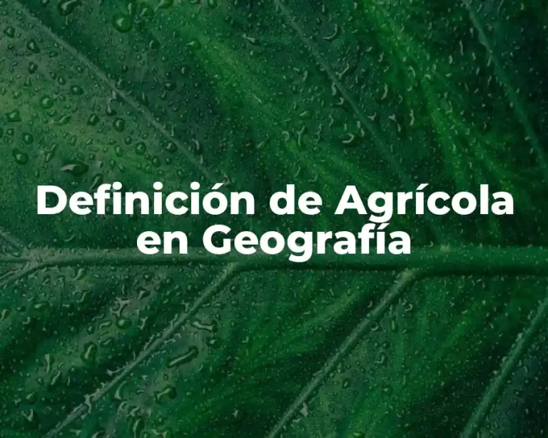 Definición de Agrícola en Geografía