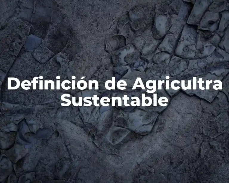 Definición de Agricultra Sustentable