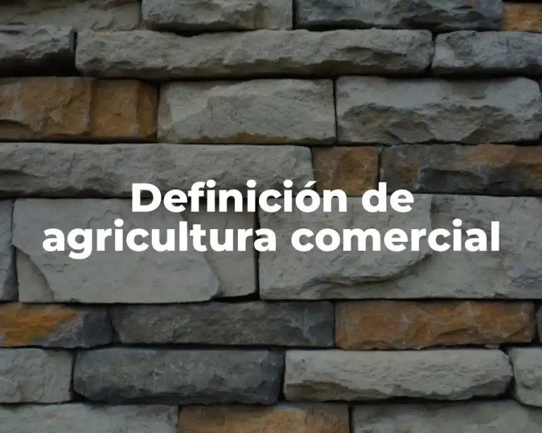 Definición de agricultura comercial