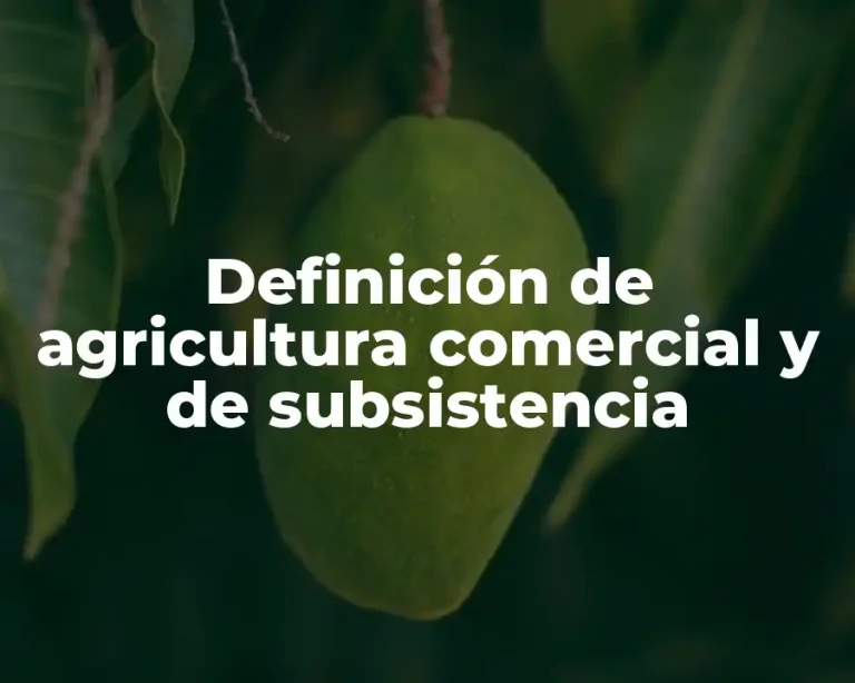 Definición de agricultura comercial y de subsistencia
