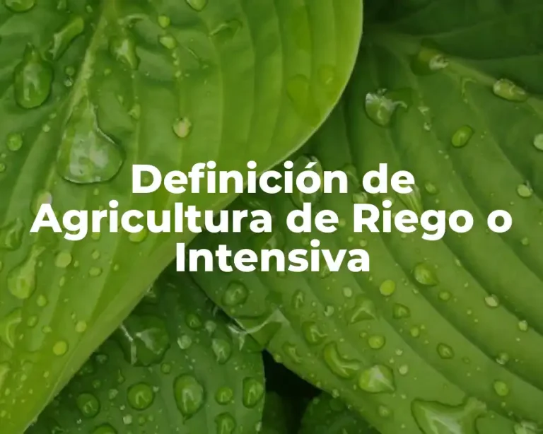 Definición de Agricultura de Riego o Intensiva