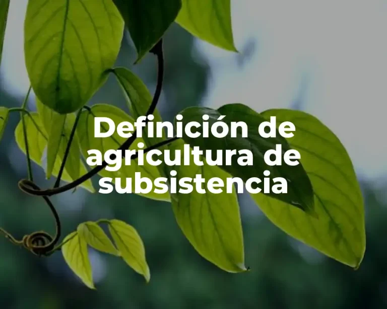 Definición de agricultura de subsistencia