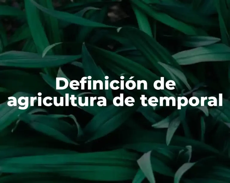 Definición de agricultura de temporal