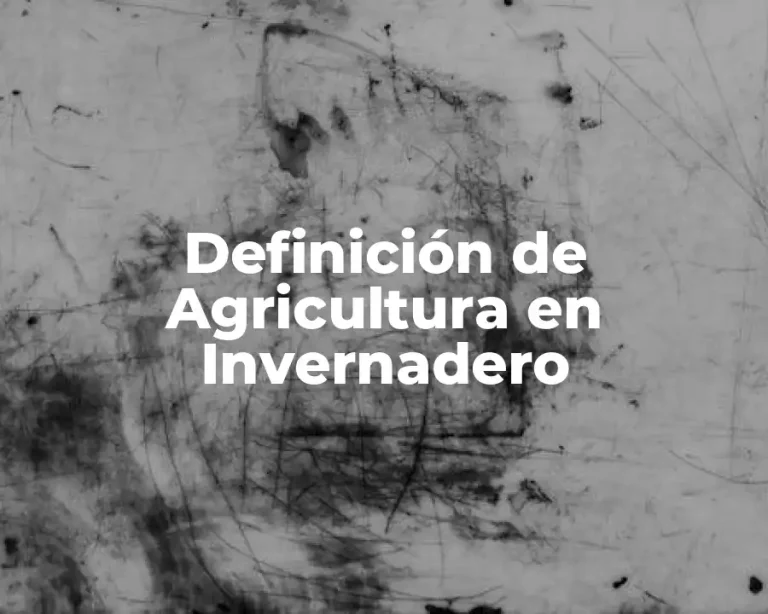 Definición de Agricultura en Invernadero