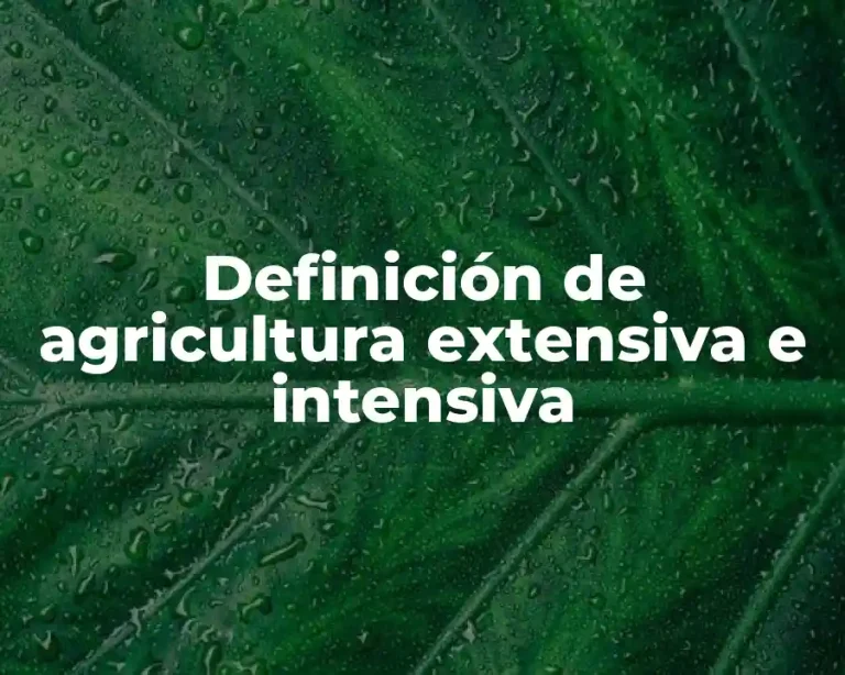 Definición de agricultura extensiva e intensiva