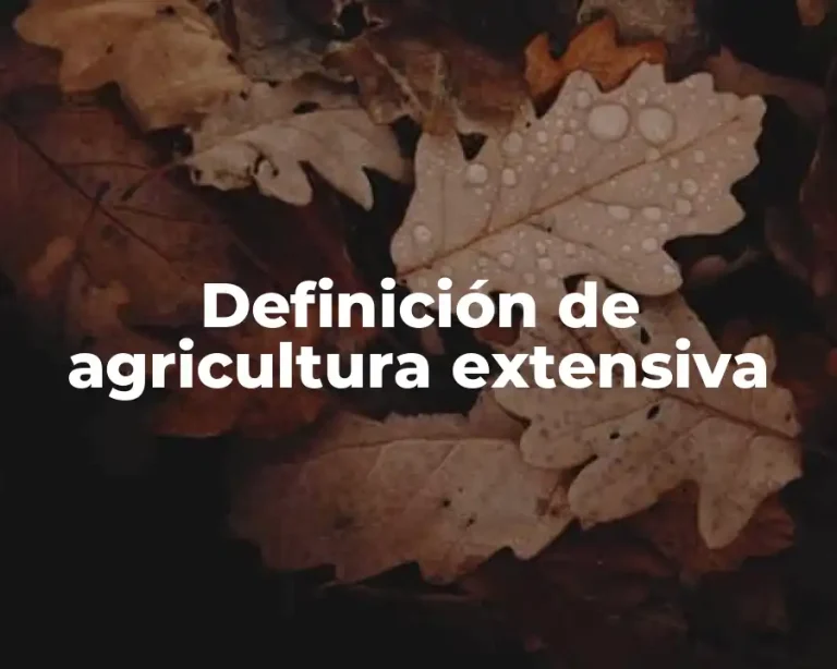 Definición de agricultura extensiva