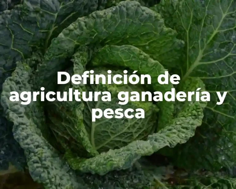 Definición de agricultura ganadería y pesca