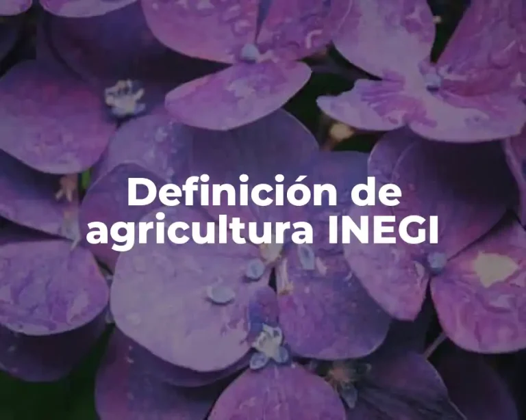 Definición de agricultura INEGI