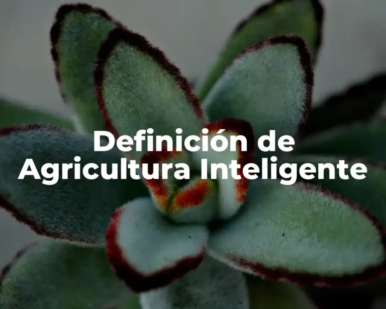 Definición de Agricultura Inteligente