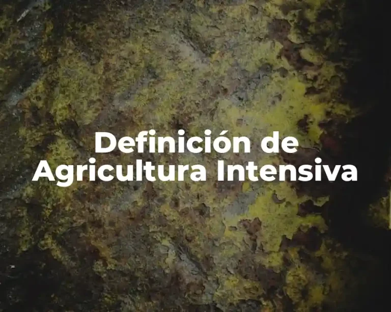 Definición de Agricultura Intensiva