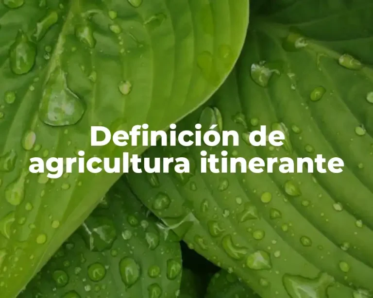 Definición de agricultura itinerante